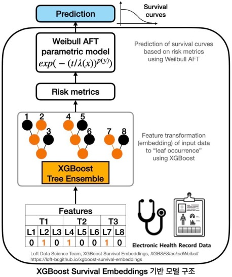 당뇨병 및 합병증 추적관찰 임상 데이터-당뇨병 발병 예측 모델_1_XGBoost Survival Embeddings 기반 모델 구조