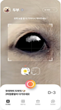 반려동물 안구 질환-수요기업 적용방안 예시_1_모바일 앱을 통한 눈 건강관리(1)