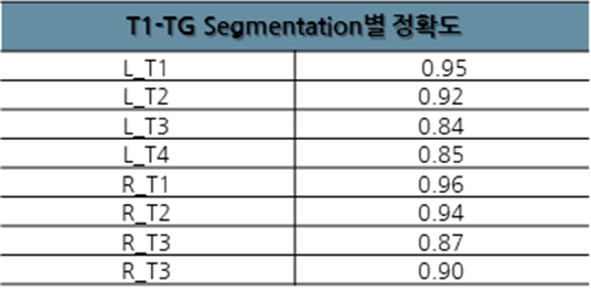 족부질환 및 재활경과 판단을 위한 보행 동영상-세그멘테이션 성능평가_1_T1-TG Segmentation별 정확도