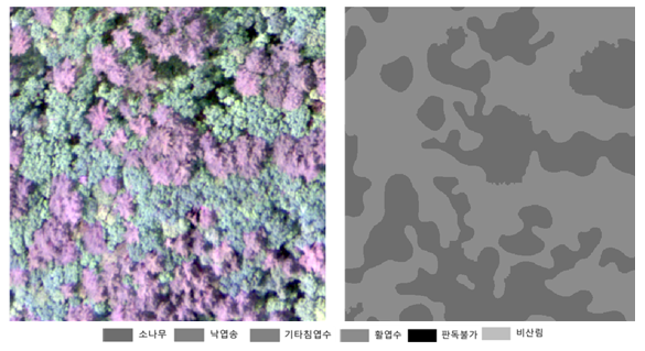 산림 수종 이미지(제주)- 라벨링데이터 Tiff파일 (예시) 이미지
