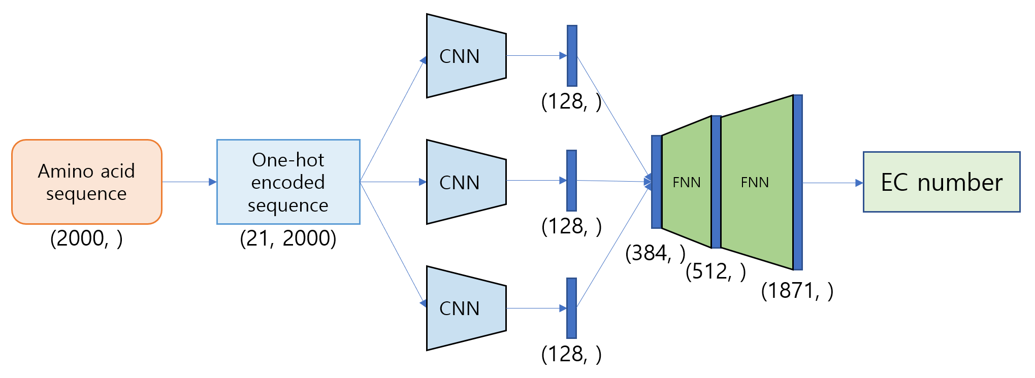 AI모델 ENC의 model architecture