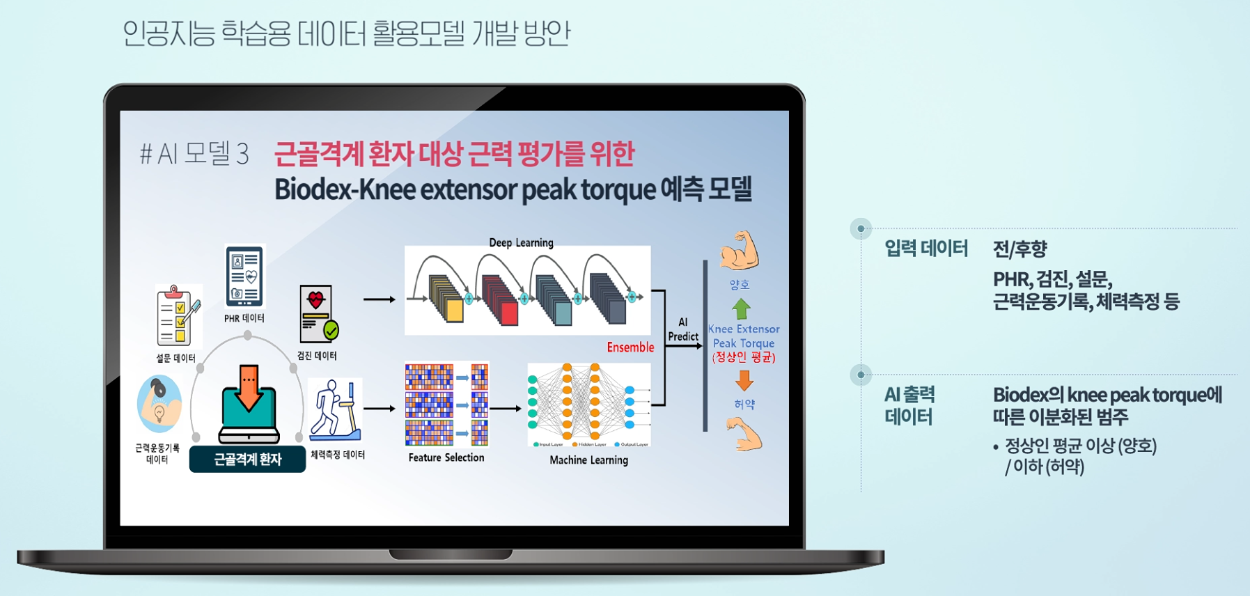 근골격계 환자 대상 근력 평가를 위한 Biodex-Knee extensor peak torque 예측 모델