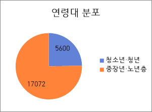 연령대 분포 그래프 이미지