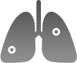 폐암 예후 예측용 영상