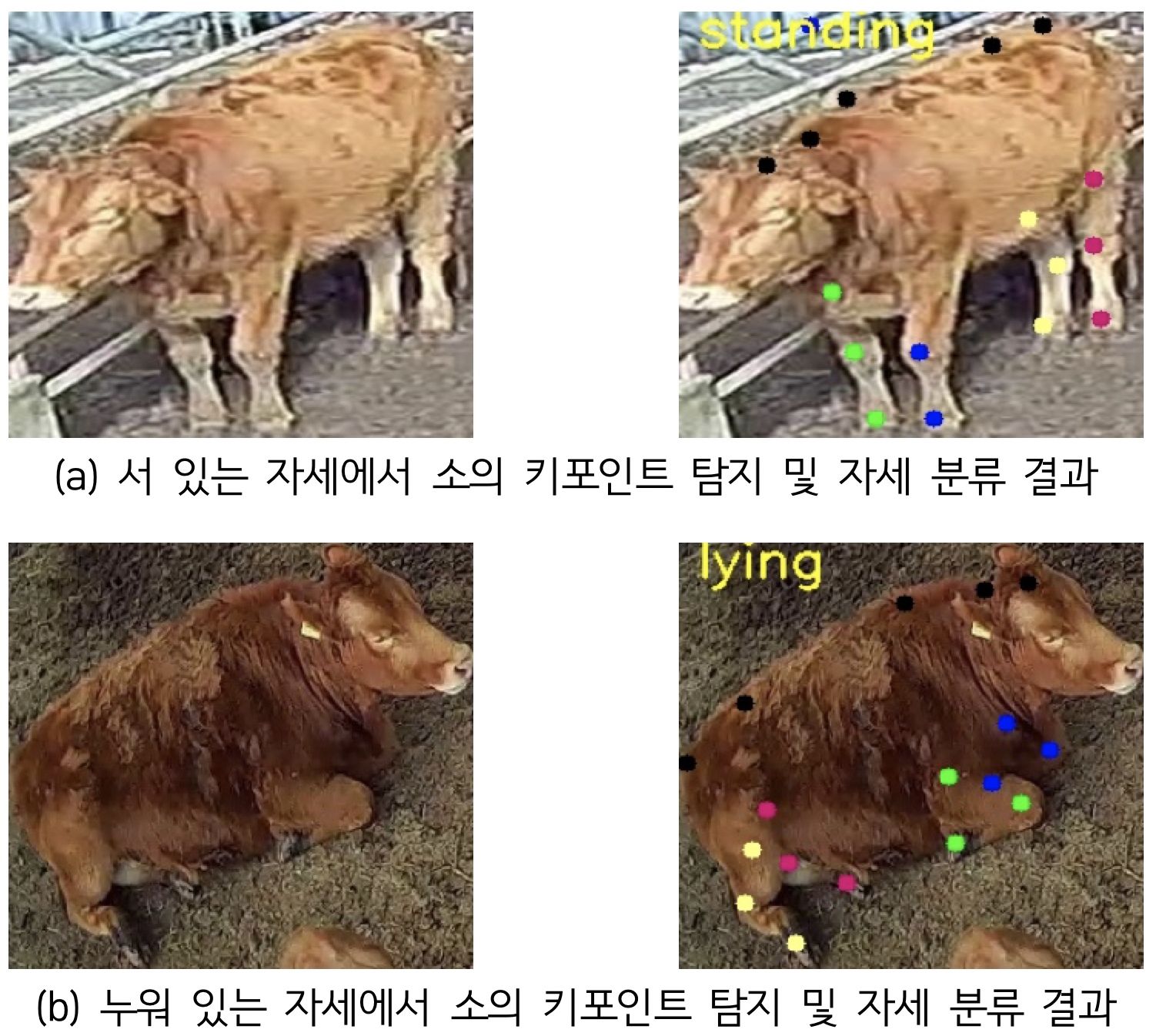 가축 행동 영상-대표도면-1