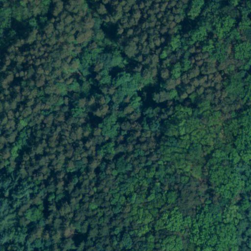 산림수종 이미지(수도권)-대표도면-1-항공사진 원천데이터
