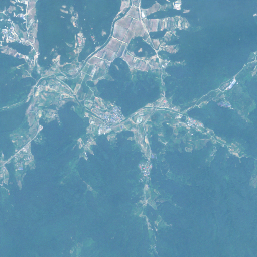 산림수종 이미지(수도권)-대표도면-3-모사영상 원천데이터