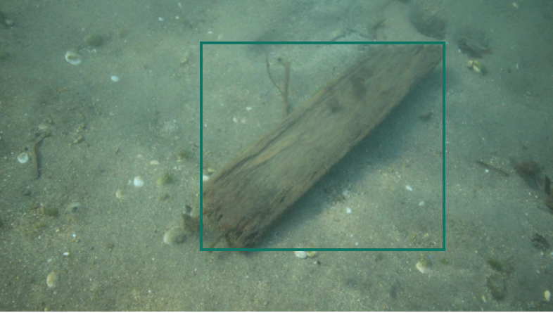 해양 침적 쓰레기 이미지-수중 촬영 이미지-라벨링 데이터-2